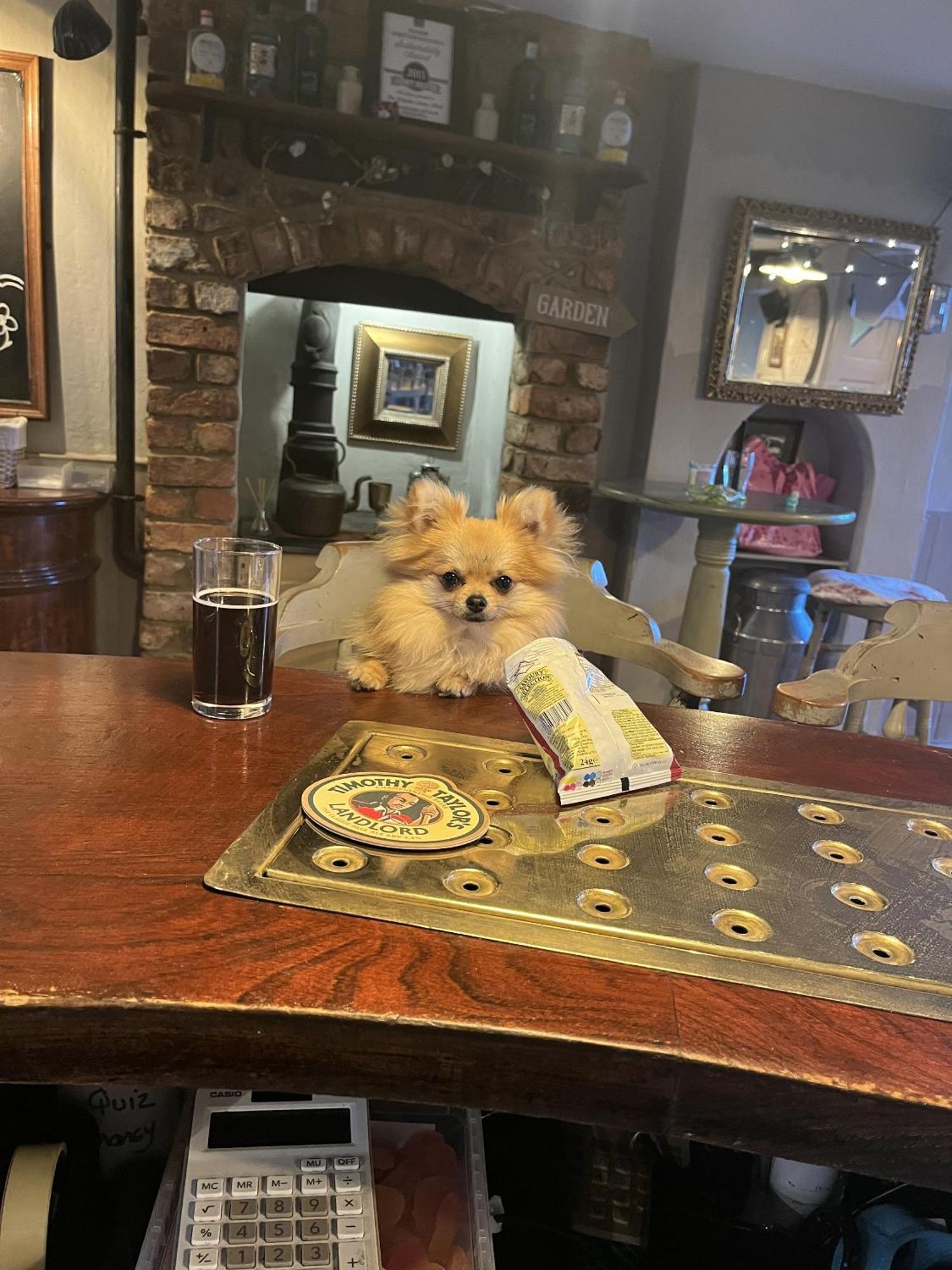 The Ilchester Arms